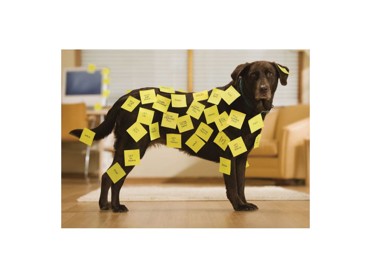 POST-IT Blocchetto 76x76mm 636B giallo/450 fogli (3134375231626)