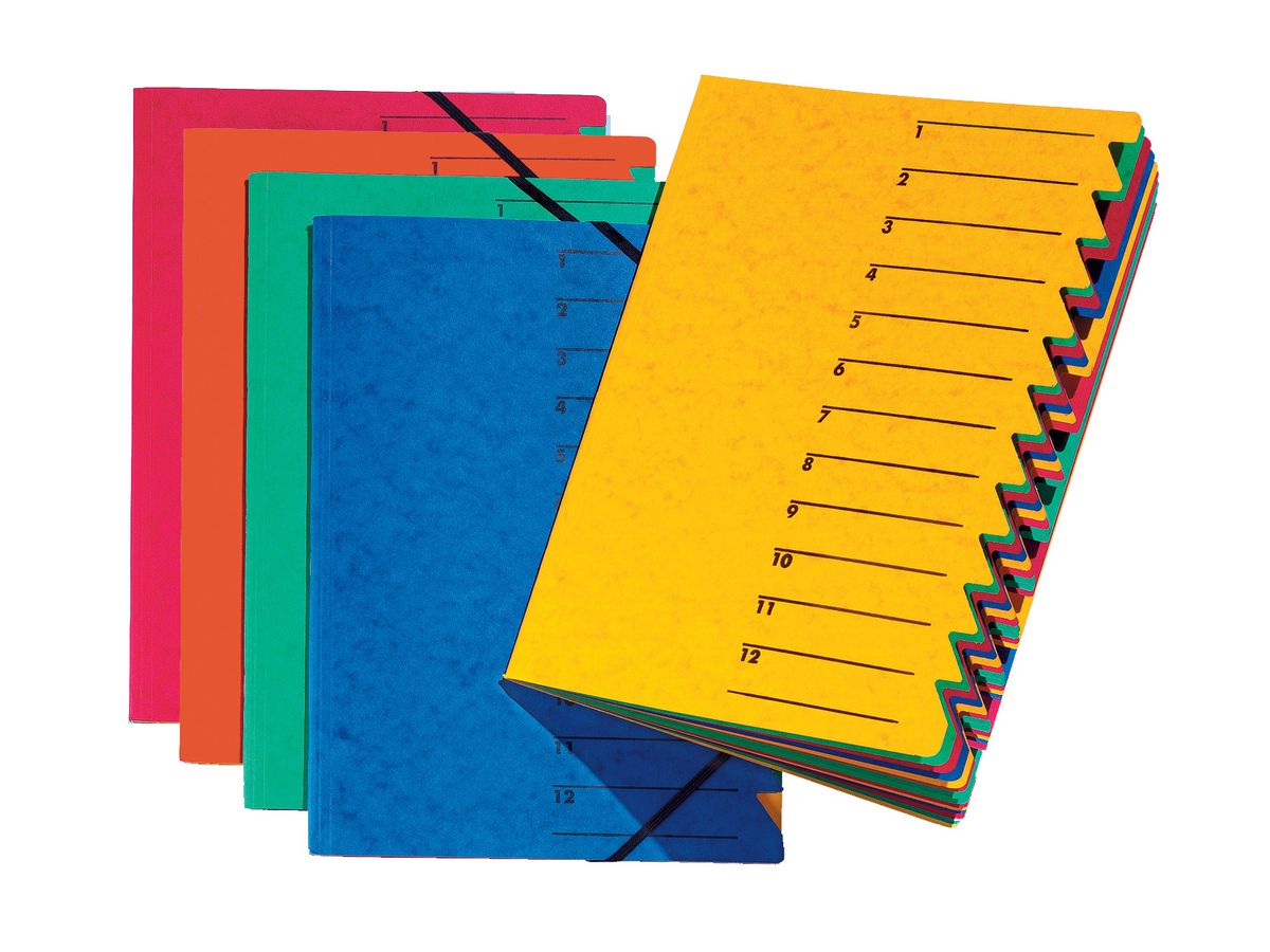 PAGNA Dossier de coll. EASY A4 24131-05 jaune 12 compart. (4013951004788)