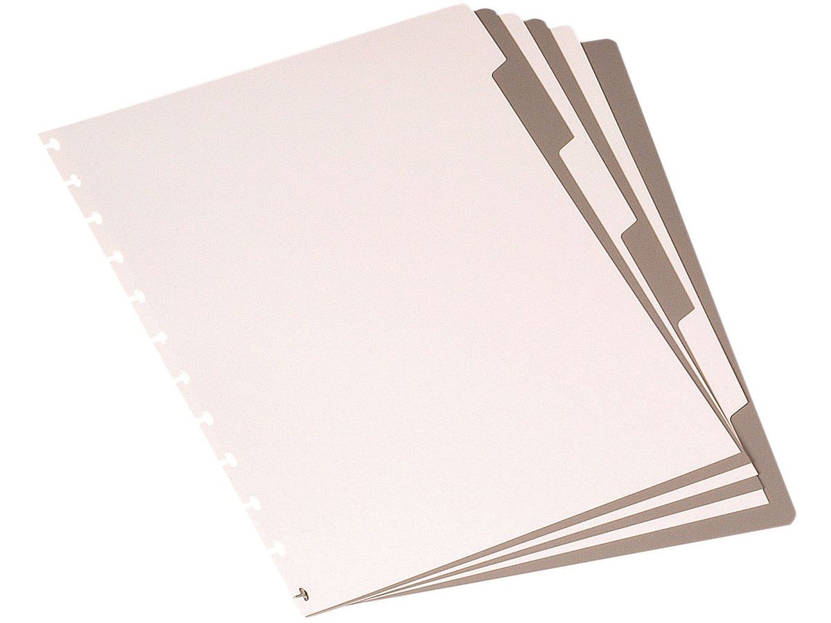 ADOC Indice PP A4+ 1899.260 marrone/ beige 6 part. (5410733992605)