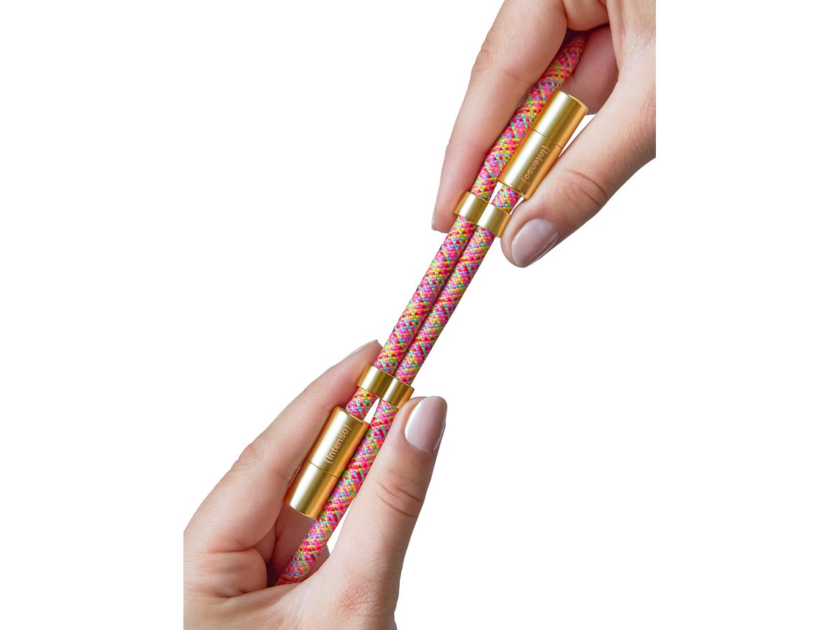 INTENSO Phone Lanyard Charg.Data Cable 7991005 2x USB-C, up to 1.65m neon mix (4034303037223)