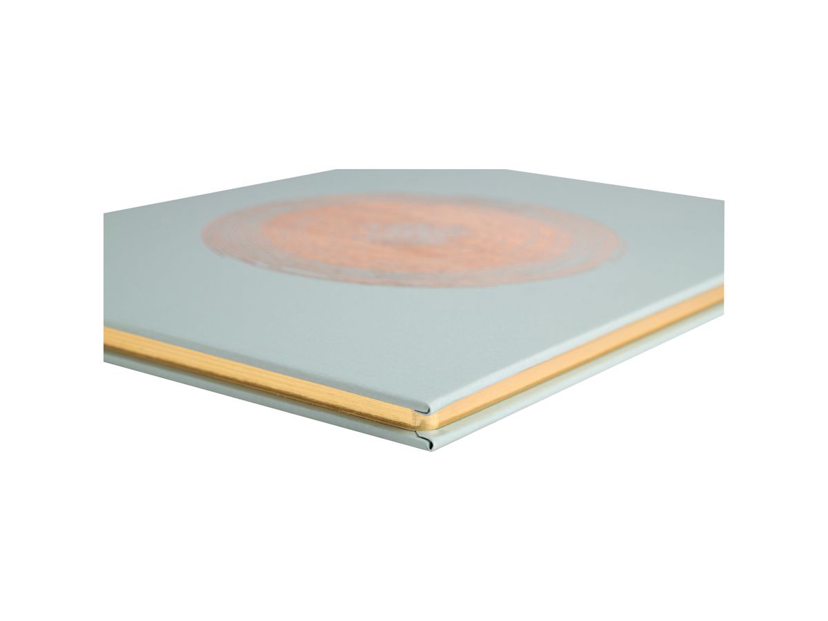 EXACOMPTA Gästebuch Ellipse 27x22cm 47982E grün 100 Seiten (3130630479826)