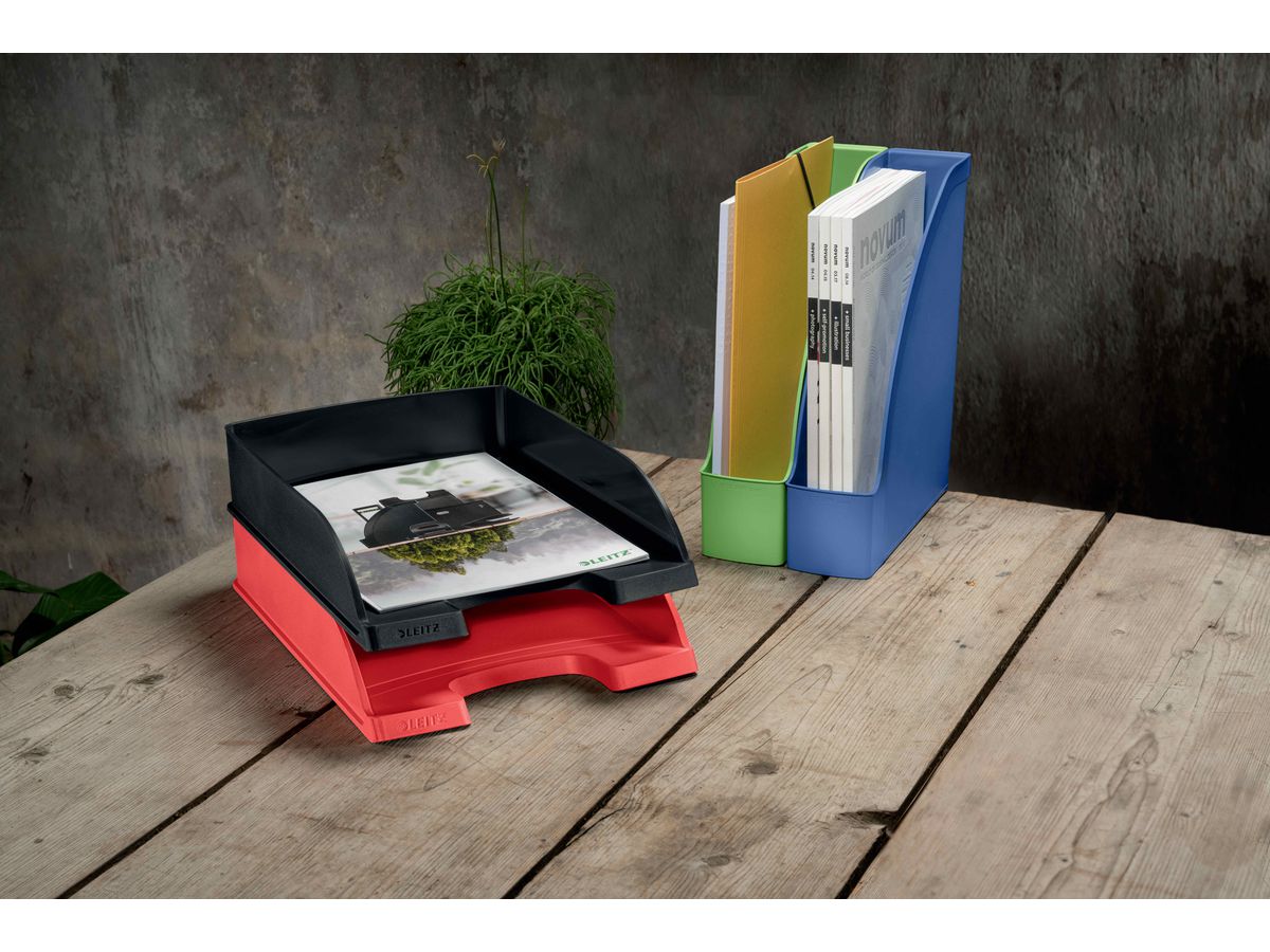 LEITZ Vaschette portadoc.Recycle A4 5227-50-50 verde, CO2 neutro (4002432134557)