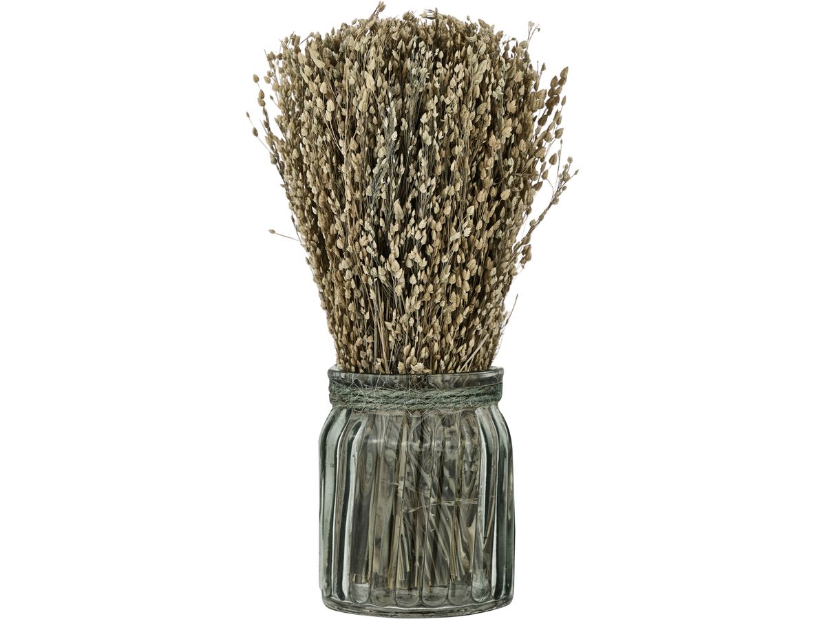 EGLO Fiori secchi CARAQ 18cm 428077 marrone, con vaso (9008606266852)