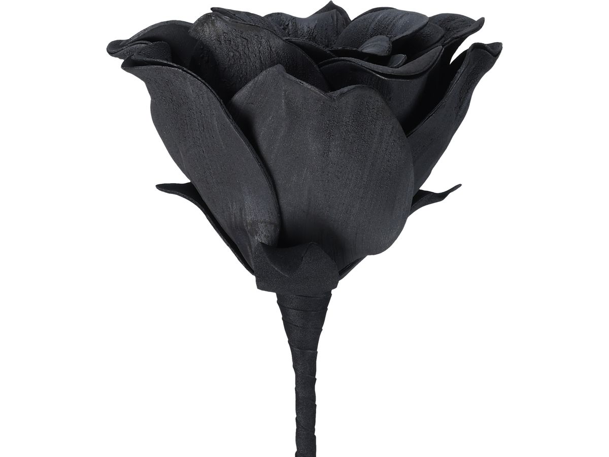 EGLO Kunstblume MOLAVE 428131 schwarz (9008606279036)