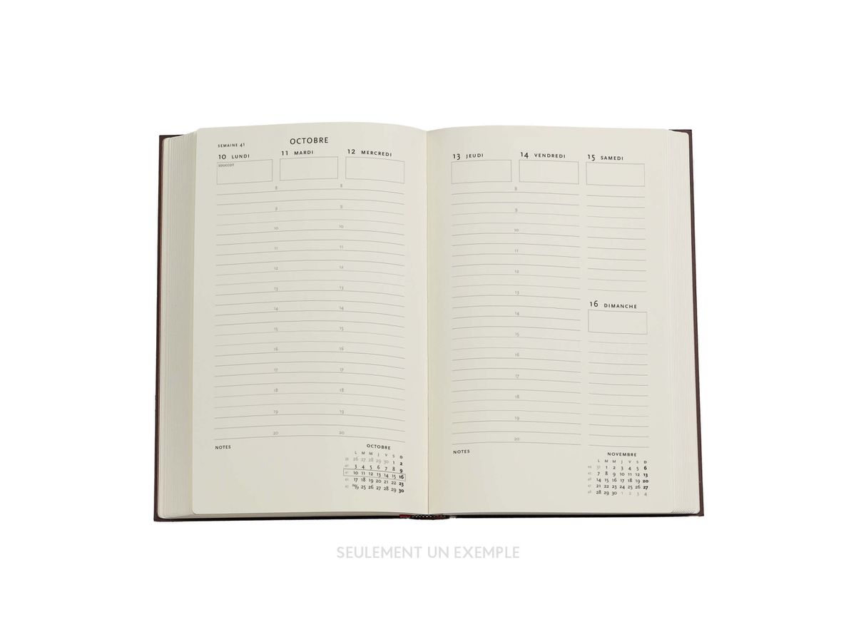 PAPERBLANKS Agenda Azurblau Maxi 25/26 FD0668-9 1W/2S 18M DE VER SC 13.5x21cm (9780349706689)