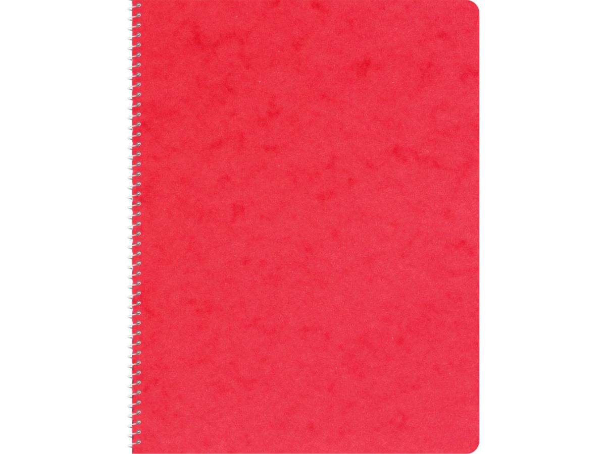 NOVOOO Carnet spirale ass. 14.8×21cm 729779 quadrillé, 4mm, 70g 48 flls. (9010729086743)