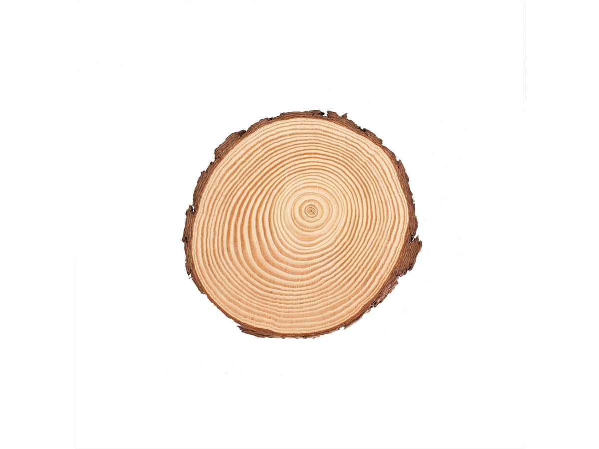 GLOREX Rondelle en bois 15x1.5cm 67026751 (7610877580494)