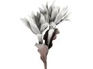 EGLO Kunstblume MOLAVE 428123 grau (9008606278961)