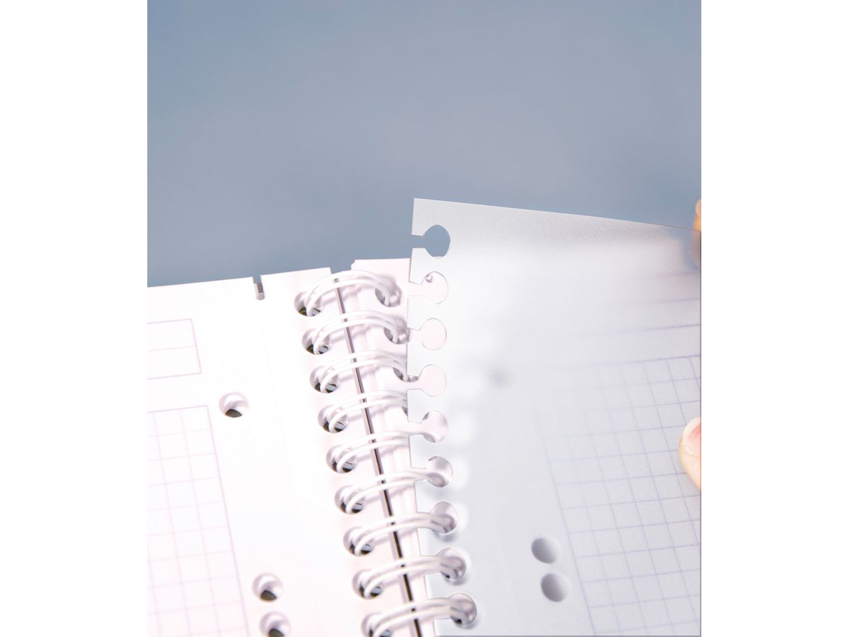 CLAIREFONTAINE LINICOLOR Quaderno A4+ 329155 5mm 120 fogli (3329683291558)