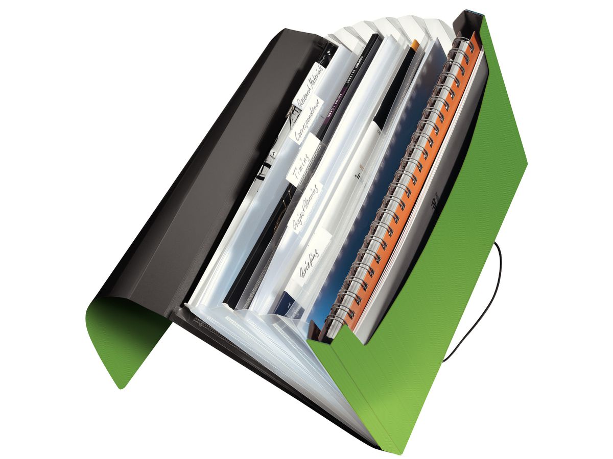 LEITZ Cartella Solid PP A4 45791050 verde chiaro (4002432115020)