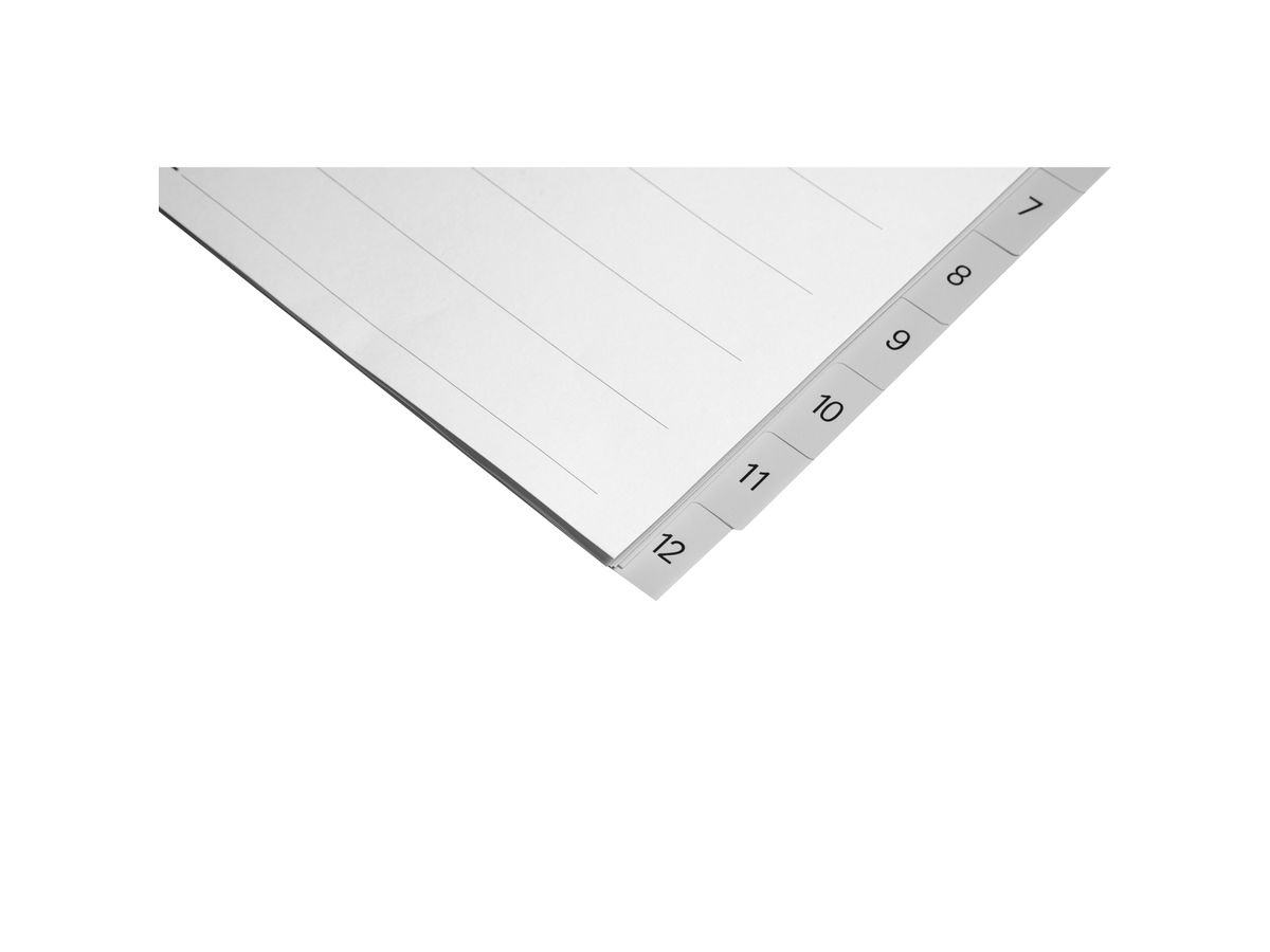 BIELLA Register PP A4 47141200U grau 1-12 (7611365255696)