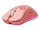 DELTACO Lightweight Gaming Mouse,RGB GAM-120-P Wireless, Pink, PM80 (7333048057235)