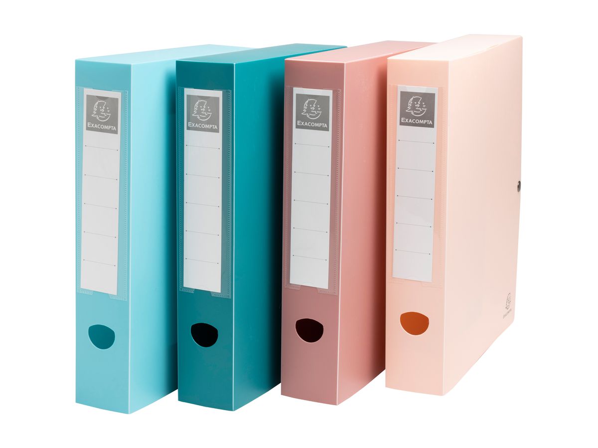 EXACOMPTA Ablagebox Skandi A4 89270E assortiert 60mm (3130630892700)