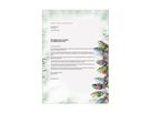 SIGEL Weihnachts-Papier A4 DP177 90g 100 Blatt (4004360815447)