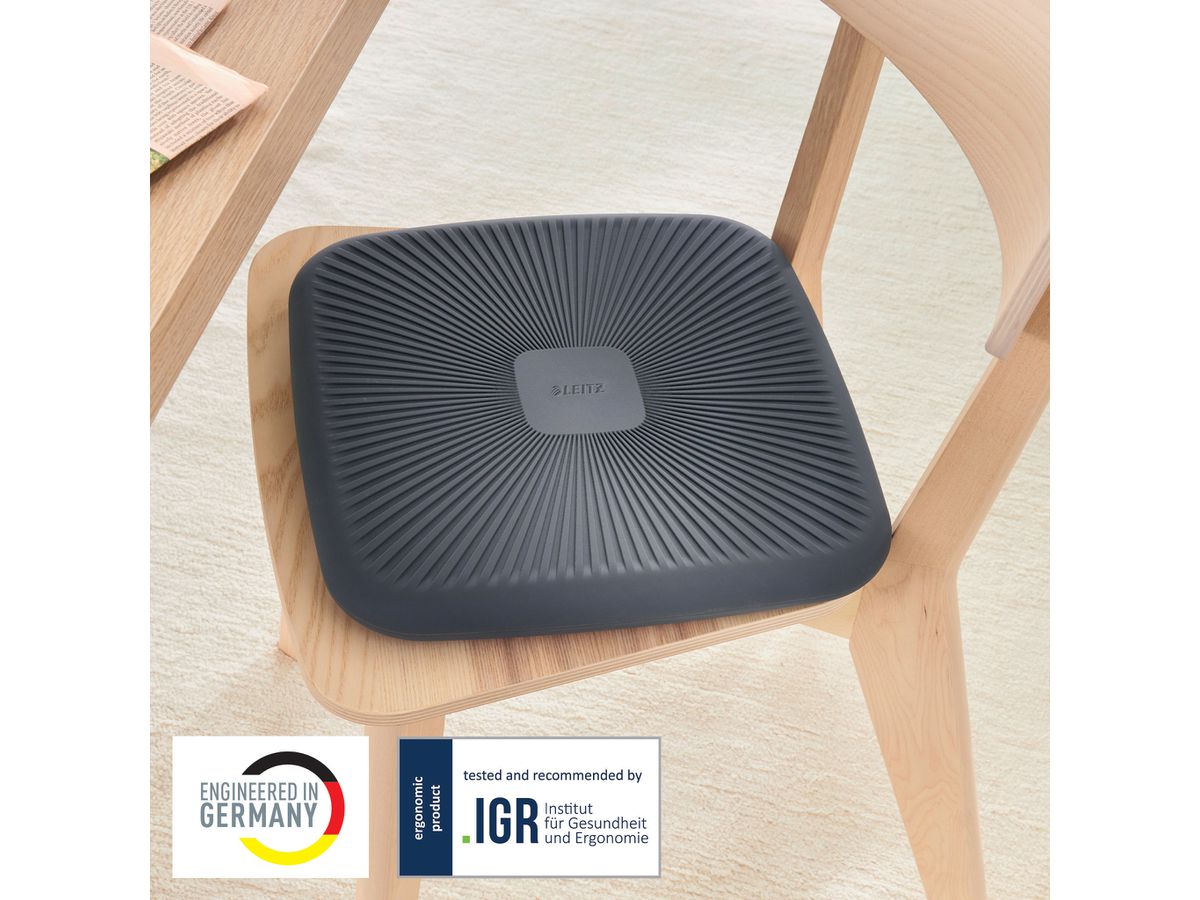 LEITZ Sitzkissen Ergo Active 6539-00-89 dunkelgrau Balance (4002432134717)