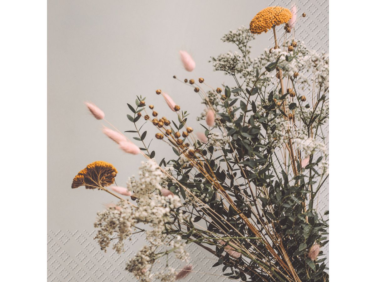 STEWO Serviettes Linnie 2572529250 beige 33x33cm (7630050871737)