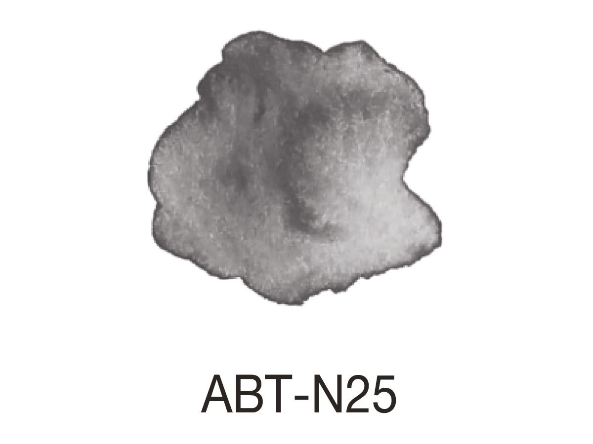 TOMBOW Dual Brush Pen ABT N25 lamp black (4901991902327)