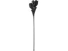 EGLO Kunstblume MOLAVE 428122 schwarz (9008606278954)