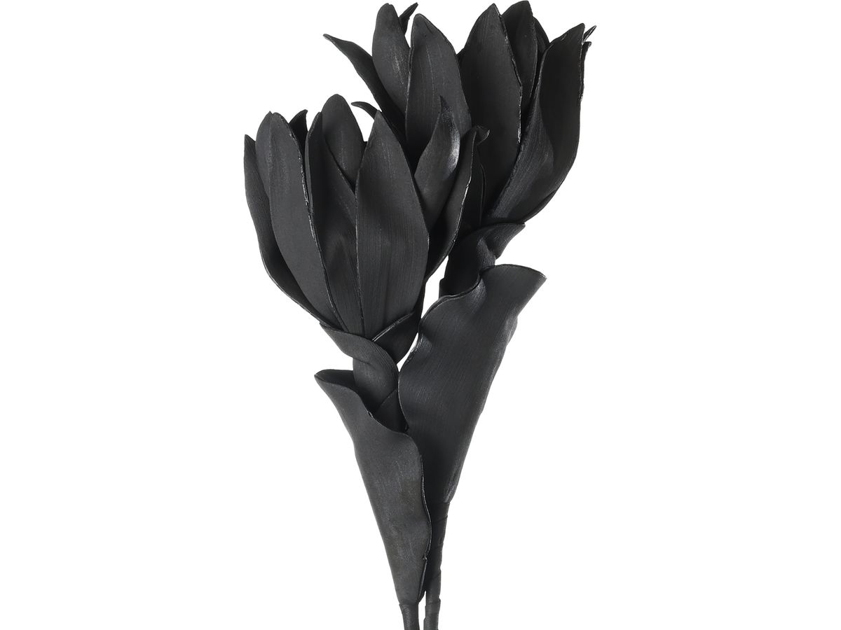 EGLO Kunstblume MOLAVE 428122 schwarz (9008606278954)