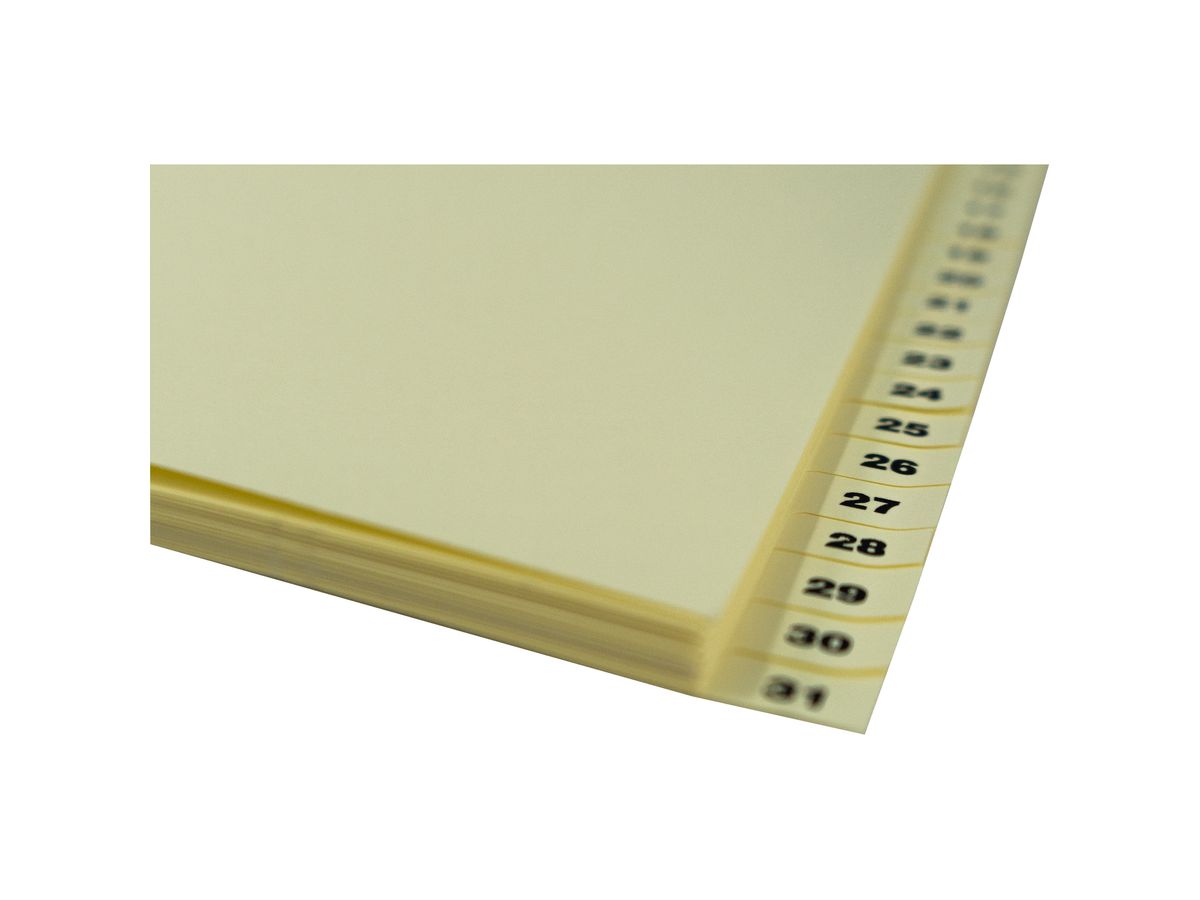 BIELLA Registro cartone A4 19443100U marrone 1-31 (7611365208562)