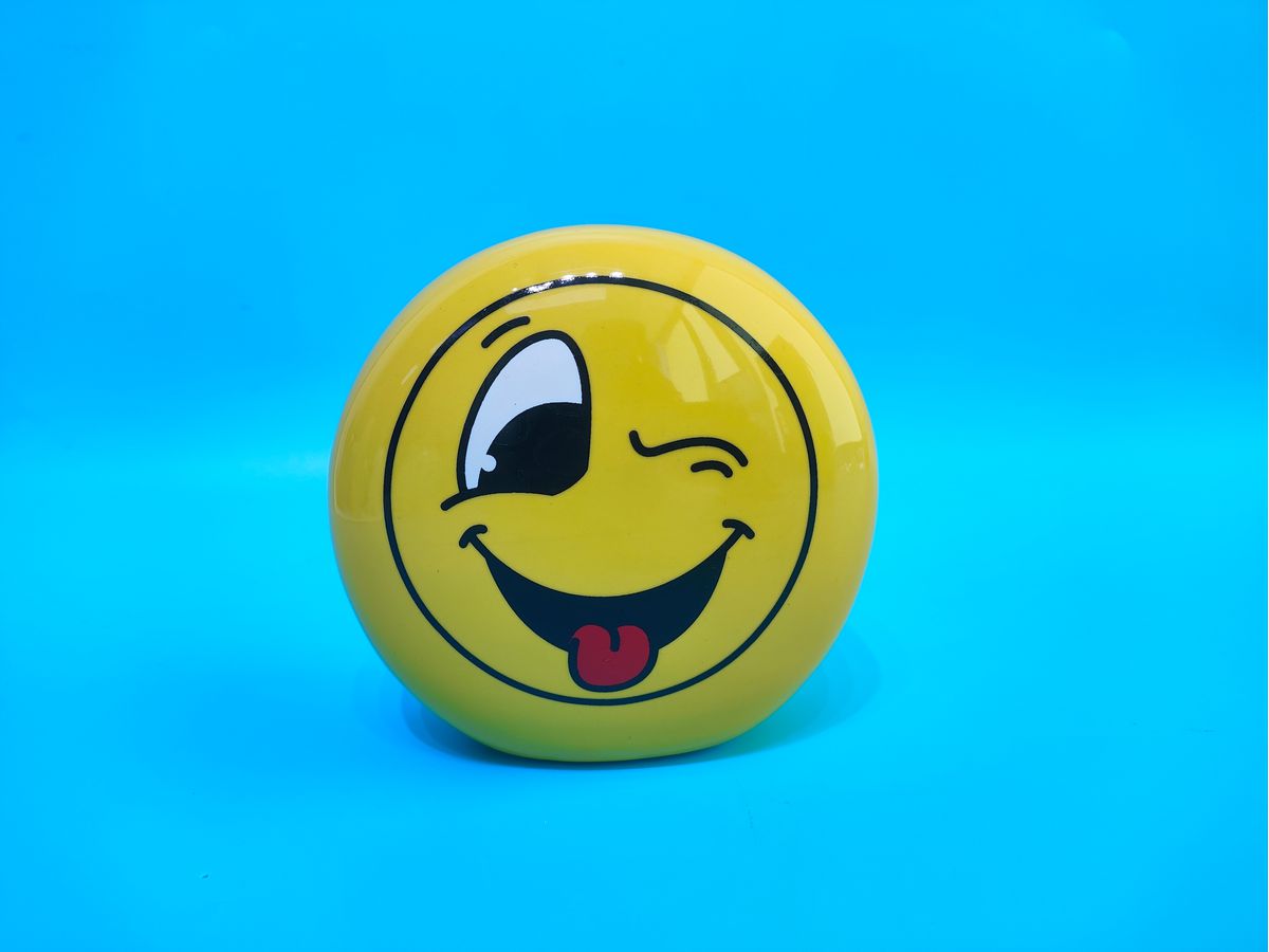 ROOST Sparkasse 12.3x7.2x11.7cm TG216472B liebes Gesicht (7613532080728)