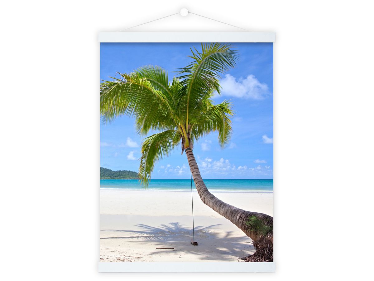 DEBEX Morsettiera poster 31x2cm LWMG 31 bianco, magnetico (7611195375236)