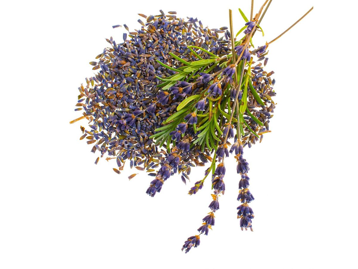 GLOREX Fiori di lavanda 4g 61601105 viola (7610877514017)