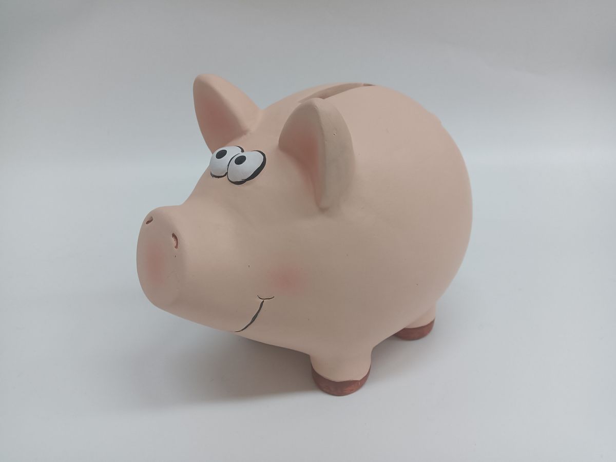 ROOST Sparkasse Schwein TG9080-7.5 18.5x14.3x15.5cm (7612532057860)