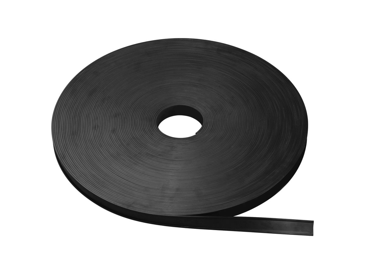 MAGNETOPLAN C-Profil magnetico 17620 50mx20mmx1mm (4013695012704)