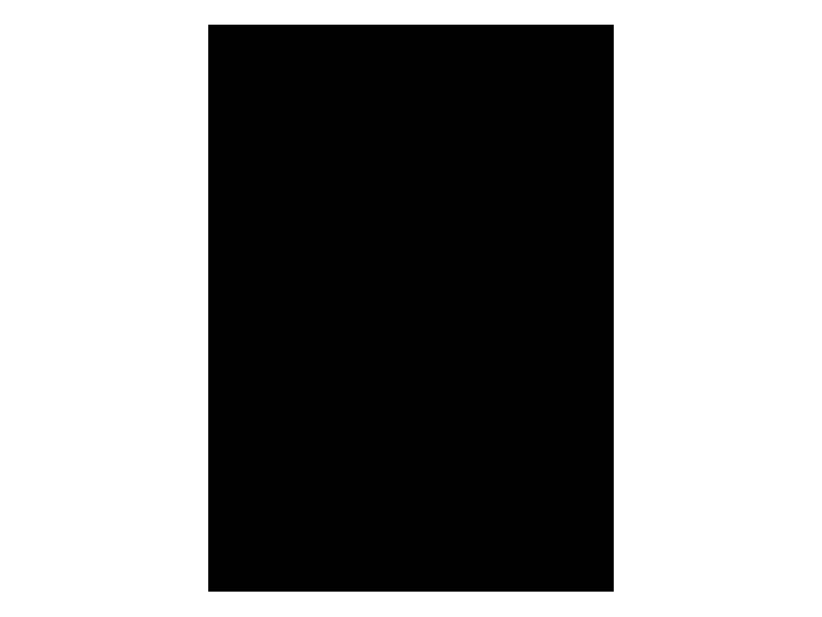 URSUS Artist blocco, aquarelle A4 16244690SE 290g, nero 10 fogli (4008525216049)