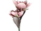 EGLO Kunstblume MOLAVE 428113 rosa (9008606278879)