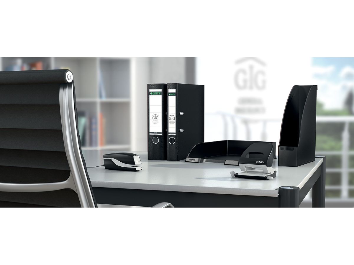 LEITZ Boîte de class. Plus A4 24760095 noir (4002432305537)