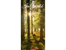 WEINGARTEN Bildkalender 2026 3150200+26 Im Wald DE 33x68cm (9783839902189)