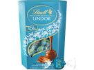 LINDT Lindor Kugeln 659916 Salted Caramel Milch 200g (8003340099163)