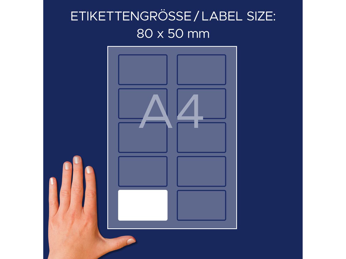 AVERY ZWECKFORM Namensetiketten L4785-20 weiss 80x50mm 200 Stück (4004182074831)