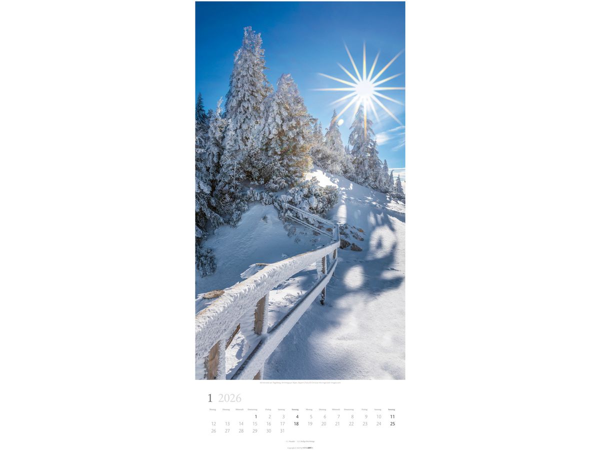 WEINGARTEN Bildkalender 2026 3150200+26 Im Wald DE 33x68cm (9783839902189)