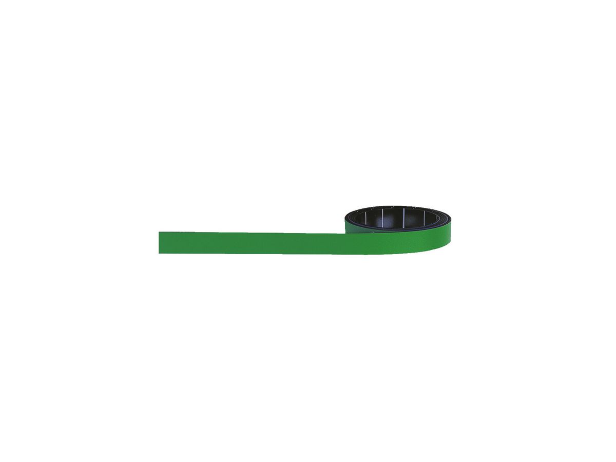 MAGNETOPLAN Ruban Magnetoflex 1261005 vert 10mmx1m (4013695007878)