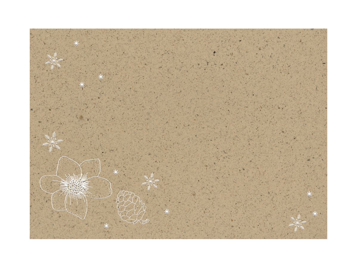 COPPENRATH A5 Adventskalender 95283 Zauber der Winternatur (4050003952833)