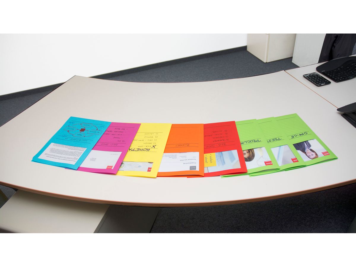 ELCO Organisationsmappe Ordo A4 29488.00 classico, assortiert 100 Stück (7610425974003)