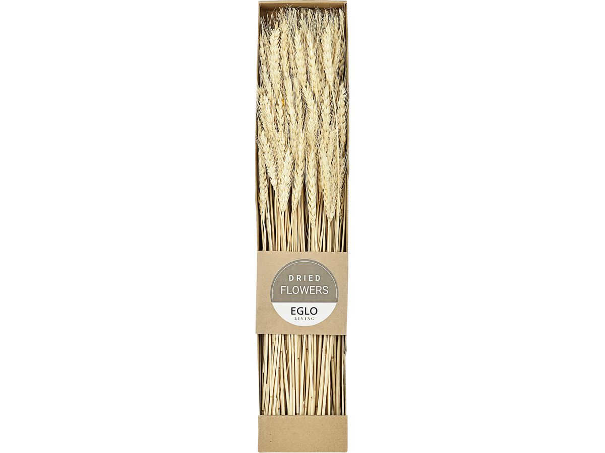 EGLO Fiore secco 60cm 428037 beige (9008606258628)