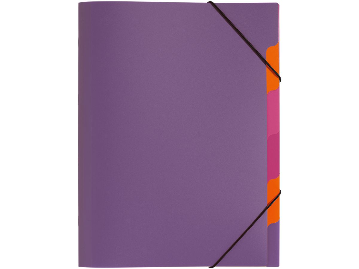PAGNA Dossier de coll. A4 41803-12 lilac 5 compart. (4009212041760)