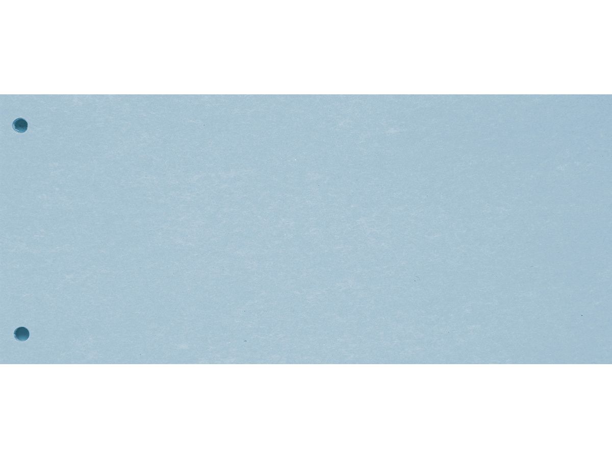 BIELLA Trennstreifen Karton 2 Loch 19919005U blau, 24x10.5cm 100 Stk. (7611365357390)