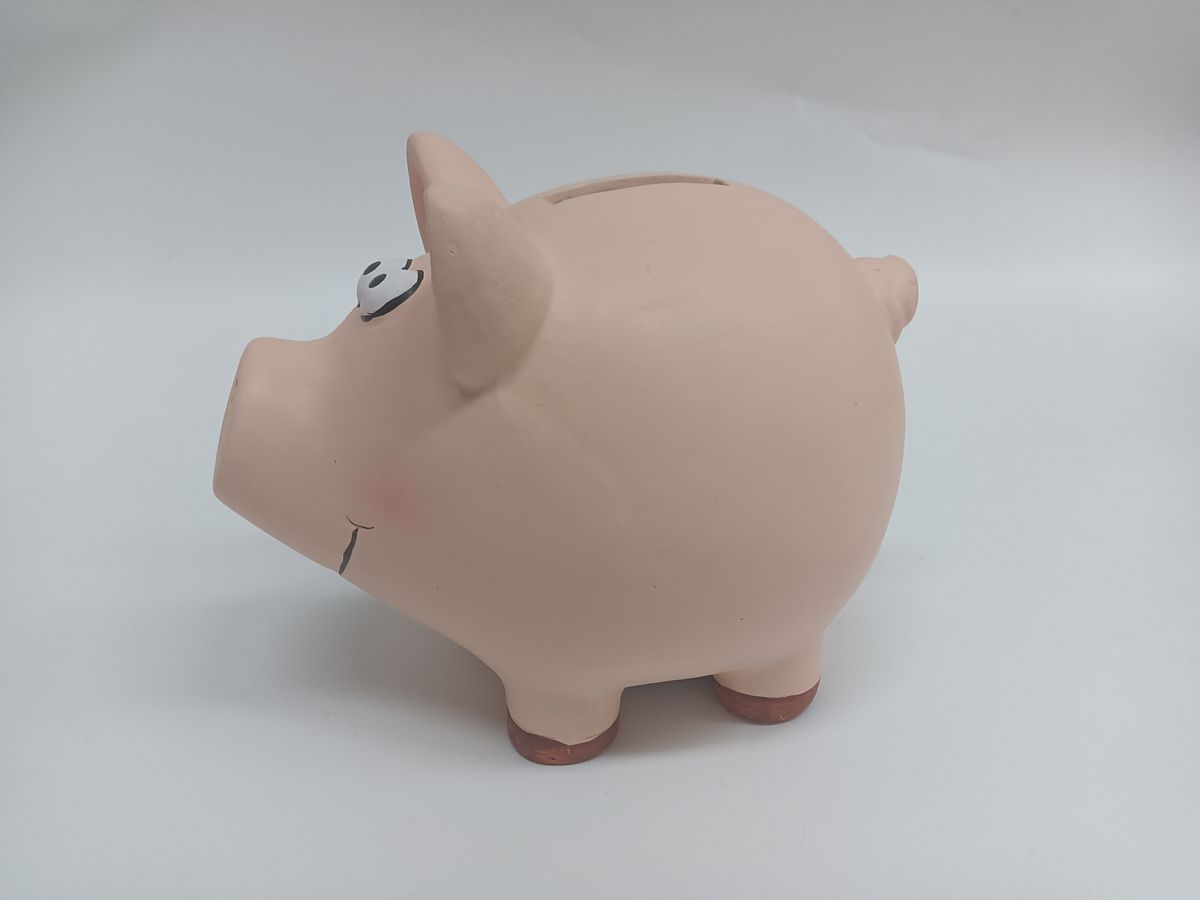 ROOST Sparkasse Schwein TG9080-7.5 18.5x14.3x15.5cm (7612532057860)