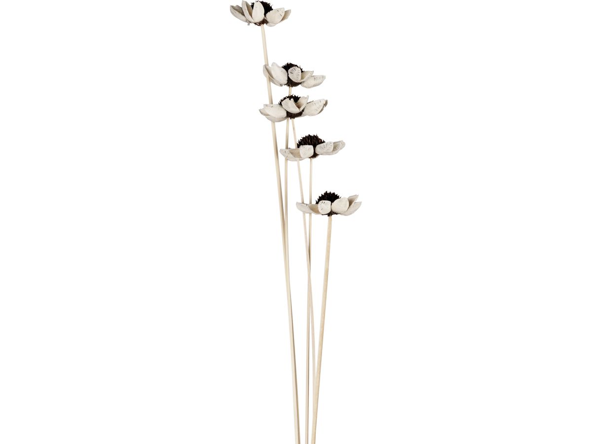 EGLO Fiori artificiali ALABEL 428165 naturale (9008606282142)