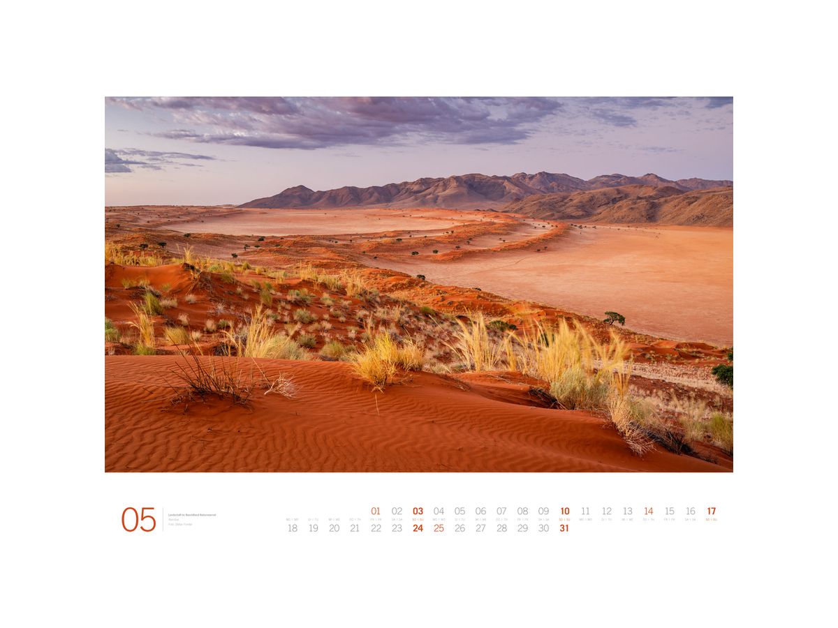 ACKERMANN Calendrier 2026 3614 Planet Earth DE/E 66x50cm (9783838436142)