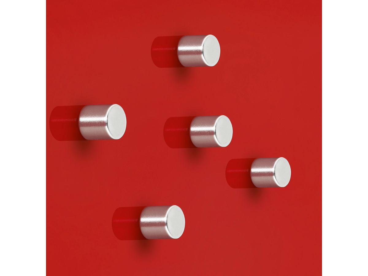 SIGEL Superdym Calamita 10mm BA700 stark argento, 5 pezzi (4004360794414)