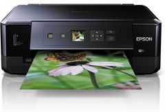 Epson                        - Expression Premium XP 520