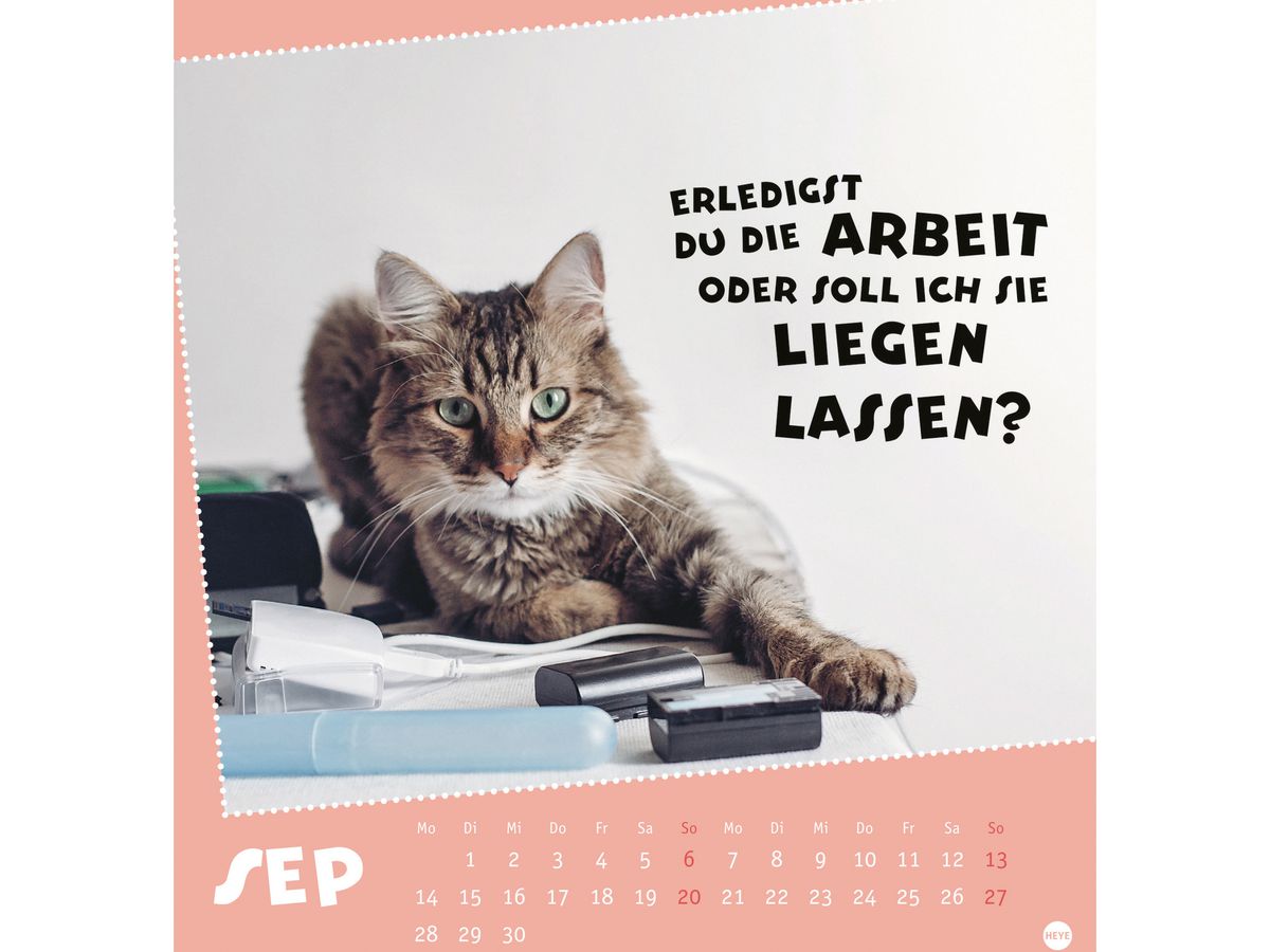 HEYE Cal. in cartolina Pause 2026 23023+26 1M/1P TE 16x17cm (9783756411504)