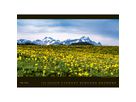 APPENZELLER Calendrier 2026 9783858829030 Appenzellerland AL 70x50cm (9783858829030)