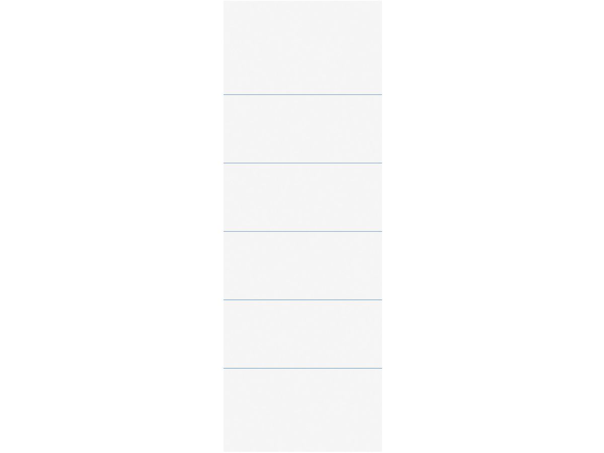 BIELLA Rückenschild Ordner 51x145mm 19016700U für 7cm Rücken 25 Stück (7611365207916)